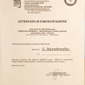 Ingrandire l'immagine: certificate 19