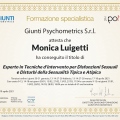 Ingrandire l'immagine: certificate 11