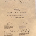 Ingrandire l'immagine: certificate 1