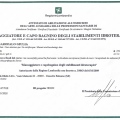 Ingrandire l'immagine: certificate 2