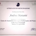 Ingrandire l'immagine: certificate 20