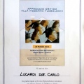 Ingrandire l'immagine: certificate 25