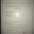 Ingrandire l'immagine: certificate 49