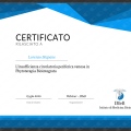 Ingrandire l'immagine: certificate 9