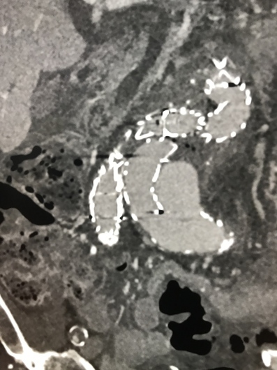 Mario De Laurentis-2