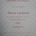 Ingrandire l'immagine: certificate 21