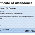 Ingrandire l'immagine: certificate 5
