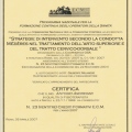 Ingrandire l'immagine: certificate 2