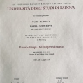 Ingrandire l'immagine: certificate 2
