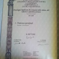 Ingrandire l'immagine: certificate 1
