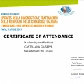 Ingrandire l'immagine: certificate 9