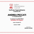 Ingrandire l'immagine: certificate 1