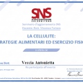 Ingrandire l'immagine: certificate 2