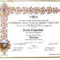 Ingrandire l'immagine: certificate 5