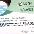 Ingrandire l'immagine: certificate 10
