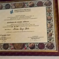 Ingrandire l'immagine: certificate 2