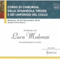 Ingrandire l'immagine: certificate 39