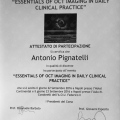 Ingrandire l'immagine: certificate 7