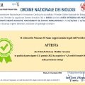 Ingrandire l'immagine: certificate 5