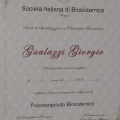 Ingrandire l'immagine: certificate 1