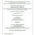 Ingrandire l'immagine: certificate 3