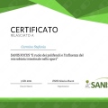 Ingrandire l'immagine: certificate 8