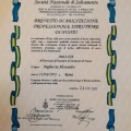 Ingrandire l'immagine: certificate 8