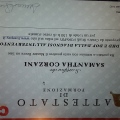 Ingrandire l'immagine: certificate 2