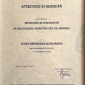 Ingrandire l'immagine: certificate 5
