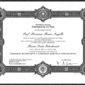 Ingrandire l'immagine: certificate 3