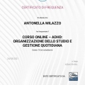 Ingrandire l'immagine: certificate 2