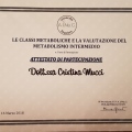 Ingrandire l'immagine: certificate 3
