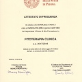 Ingrandire l'immagine: certificate 2