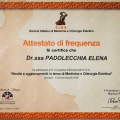 Ingrandire l'immagine: certificate 4