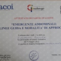 Ingrandire l'immagine: certificate 12
