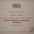 Ingrandire l'immagine: certificate 9