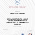 Ingrandire l'immagine: certificate 4