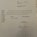 Ingrandire l'immagine: certificate 1