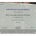 Ingrandire l'immagine: certificate 1