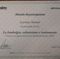 Ingrandire l'immagine: certificate 6