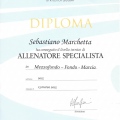 Ingrandire l'immagine: certificate 14