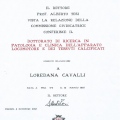 Ingrandire l'immagine: certificate 2