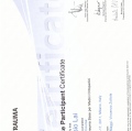 Ingrandire l'immagine: certificate 7