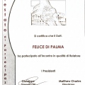 Ingrandire l'immagine: certificate 49