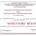 Ingrandire l'immagine: certificate 2
