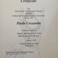 Ingrandire l'immagine: certificate 1