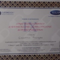 Ingrandire l'immagine: certificate 29