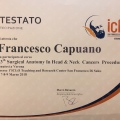 Ingrandire l'immagine: certificate 16
