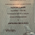 Ingrandire l'immagine: certificate 6