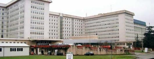 Federico Bellavere-1